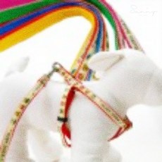 마깡몰 러쉬독 칼라 X반도셋트 10㎜ 목줄셋트