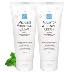미백 대용량 크림120mlx2개 잡티관리 칙칙한피부관리 대용량크림, 120ml, 2개