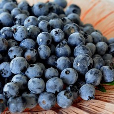 탱탱식감 프리미엄 생 블루베리 칠레산 18mm 16mm(1팩당 125g), 1개, 중과 (14-16mm) 8팩