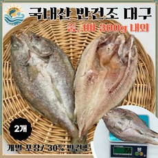 [출시 기념 특가] 국내산 특A급 반건조 대구 저염 30% 반건조 생선 / 개별포장 / 제수용 찜 구이, 2개, 중 (1미 300g 내외)