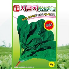 킹오브덴마크 시금치 씨앗 25g 봄여름 만추대성 시금치씨 종자, 1개