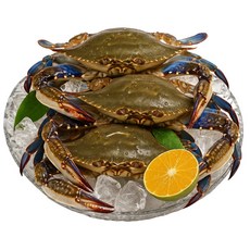 [선별특품] 연평도 냉동 암꽃게 100% 알배기 수율보장 디아머스, 1개, 3kg (특대 9-15미)