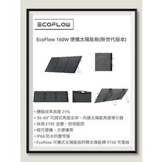 EcoFlow 160W 便攜太陽能板 (新世代版本), 黑色, 1個