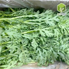 국내산 싱싱한 쑥갓 4kg, 1박스