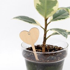 베이직 우드 네임픽 5개 10개 식물이름표 화분라벨 화분이름표 식물픽 가든픽 우드토퍼, 스마일하트 5P