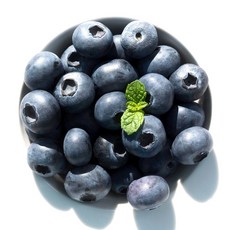블루베리 생블루베리 생과 칠레산 125g X 6팩(750g) 14~16mm, 6개