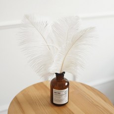 케이트가든 화이트 타조 깃털 장식 소품 25cm