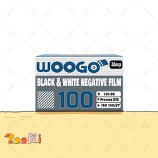 카메라 컬러 흑백필름 중네스틸 필름 C41 영화 10롤, 흑백 WooGo 100 36장