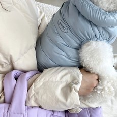 소원담 클라우드 강아지 패딩조끼 겨울옷 애견 고양이 중형견, 클라우드블루, 1개