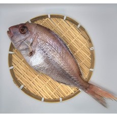 부산 대명수산 반건조 생선 간편 먹기편한 밥반찬 국산 천일염을 사용하여 간이된 맛있는 국산 참돔, 1세트, 470g(1마리/30cm전후)