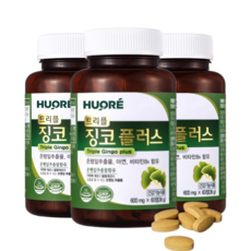 징코 은행잎추출물 징코플러스 혈액순환 혈액순환개선 기억력개선 아연 영양제 트리플징코플러스, 60정, 3개