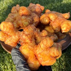 [재구매율 99%] 25년 국내산 특품 햇생강 흙 에어세척 생강, 1개, 1kg, 흙생강