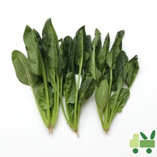 사라상회 시금치 8Kg, 1박스