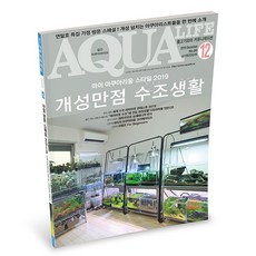 아쿠아라이프 2019년 12월호 [개성만점 어항생활], 단품