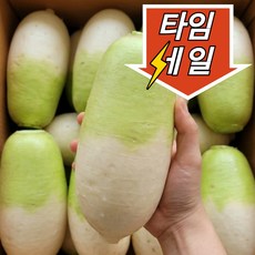 [농장직송] 아삭 달달한 제주 세척 월동무, 1박스, 5kg