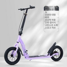 성인퀵보드 수동 범용 전동휠 두발 광폭휠 고학년 블랙 탈착식 접이식 교체용 성인킥보드, 드림퍼플스포크휠 펌프 바구니 자물쇠, 1개, 드림 퍼플(에어 펌프 바구니 잠금장치 손전등)