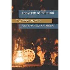 Labyrinth of the mind: Apathy Bruises & Champagne Paperback, Independently Published