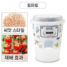 자연 과학 학습 관찰함 식물 키우기 관찰 미로 발아 성장 새싹 기르기 상자, 토마토