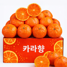 가장 달콤한 로얄과 선별 제주 카라향, 1개, 2kg