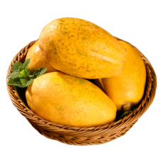 [국내최초 재배 성공] 1%귀족 스위탄 품종 파파야, 1박스, 1호 1kg(1-2과)