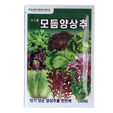 오스템 모듬 양상추 씨앗 1500립, 1개