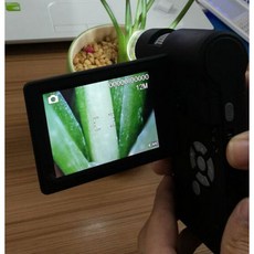 顯微鏡600倍, 1個