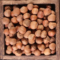 헤이즐넛 특산물 신선한 깨금 볶음 헤이즐넛 견과류 간식 중국산, A급 튀김 1근, 1개, 500g