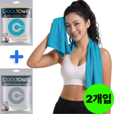 채니월드 1+1 아이스 냉감 스포츠 쿨타올, 1세트, 블루,그레이