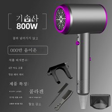 DFMEI 헤어 드라이어 가정용 헤어 드라이어 고출력 음소거 강풍 음이온 헤어 드라이어, 스타 그레이, 800w 콜라겐 + 음이온
