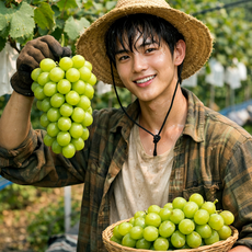샤인머스켓 상주 1Kg 샤인머스켓 과일선물 프리미엄 고당도 맛가득 산지직송 햇과일, 1박스, 상주 샤인머스켓 1Kg