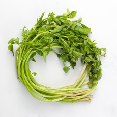 품절임박 한정수량 국내산 돌미나리 신선 나물 쌈채소 제철 채소, 1박스, 1kg