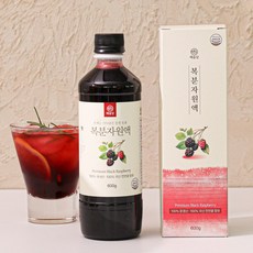 국산 문경 복분자 해솔당 저당 자일로스 벌꿀 햇 복분자 원액, 1개, 600g