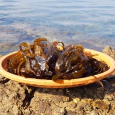 브랜드없음 [남해바다] 국내산 생미역 1kg, 1개