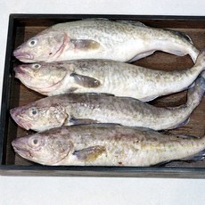 통대구 지리탕 세트_1)통대구 지리탕 세트, 1개, 100g