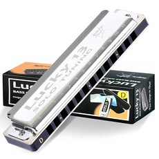 East top 하모니카 블루스 하모니카 13홀 D 调 재즈 전문가 성인용 어린이용 공부 연습용 황동 커버 캔버스 케이스 Lucky13 solo-D, 상세페이지 참조, 1개, 상세페이지 참조