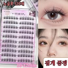 STAR UP 풀 필요없은 자연 속눈썹 대용량 아이래쉬 120가닥 노글루 인조 속눈썹 초보 추천, 1세트, 블랙