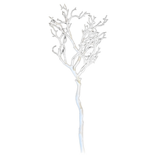 花木馬 仿真樹枝 假樹枝 樹幹 塑膠 台灣現貨 白色黑色 裝飾佈置 咖啡店 美人魚 珊瑚 婚禮 櫥窗, 白, 1套