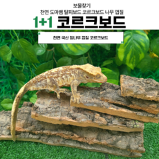 보물찾기 코르크보드 도마뱀 크레 은신처 백업 굴피껍질 사육장 꾸미기 용품 탈피보드 사이즈, 15cm 1+1