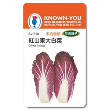 KNOWN-YOU 紅山東大白菜 種子 家庭園藝 特選種子, 1個