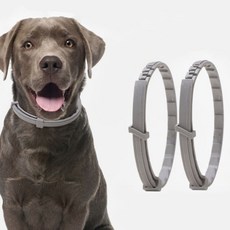 고양이 강아지 해충방지 모기 벌레 진드기퇴치 목걸이 심장사상충 예방, 소형 38cm