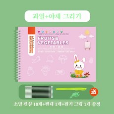 어린이 운필력 강화 매직 워크북 초보자용 그림 그리기 입체 홈 가이드 선 긋기 교재, 펜 1개 + 리필심 10개 + 펜 그립 1개 증정, 그림 그리기 배우기(과일+채소)