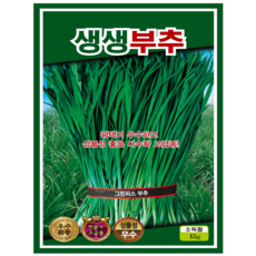 생생 부추씨앗 15g 상품성 우수 품종 채소 부추 씨앗 종자, 1개