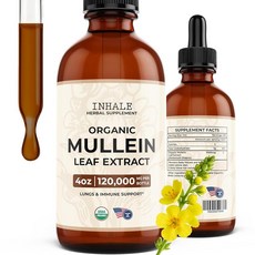Inhale Mullein Drop – 폐 및 기관지 클렌징용 USDA 유기농 뮬린 잎 추출물 | 점액 완화 호흡기 지원 흡연자 과민반응 환자용 미국 제조 118.3ml(4온스, 1개