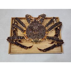 농수산 러시아 블루 레드 활 자숙 선어 킹크랩 수율80~90%, 1개, 자숙3.5kg