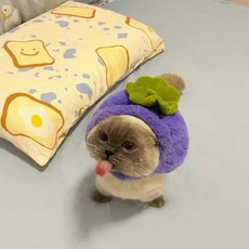 고양이 코스튬 모자 상어 돼지 레몬 포도 인형 모자, 1개, L (11kg 이하) 포도