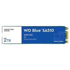 Western Digital 威騰 SA510 SATA固態硬碟 藍色, WDS200T3B0B, 2TB