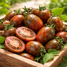 (가장맛있는제철) 아삭한 식감 고당도 흑대추방울토마토, 1박스, 1kg