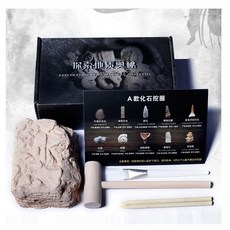 고고학 키트 화석 발굴 공룡 리얼 과학 교구 캐기 유물, A. 화석 10종 보관함 포함