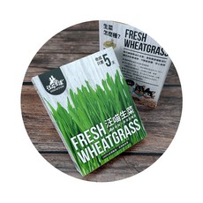 3貓2館 汪喵星球貓草新鮮栽培盒-貓咪生菜 貓草 貓薄荷 新鮮小麥草種植盒 DogCatStar, 1個