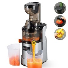 원액기 착즙기 듀얼투입구 슬로우주서기 녹즙기 주스, 실버